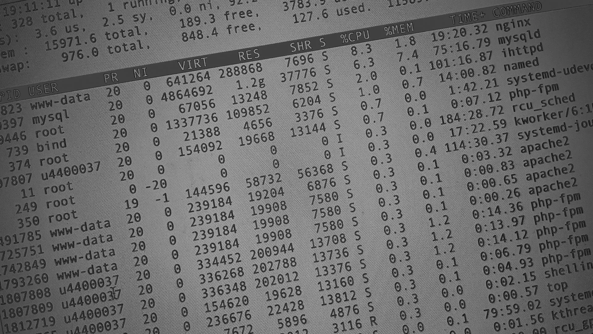 Настройка сервера в Липецке