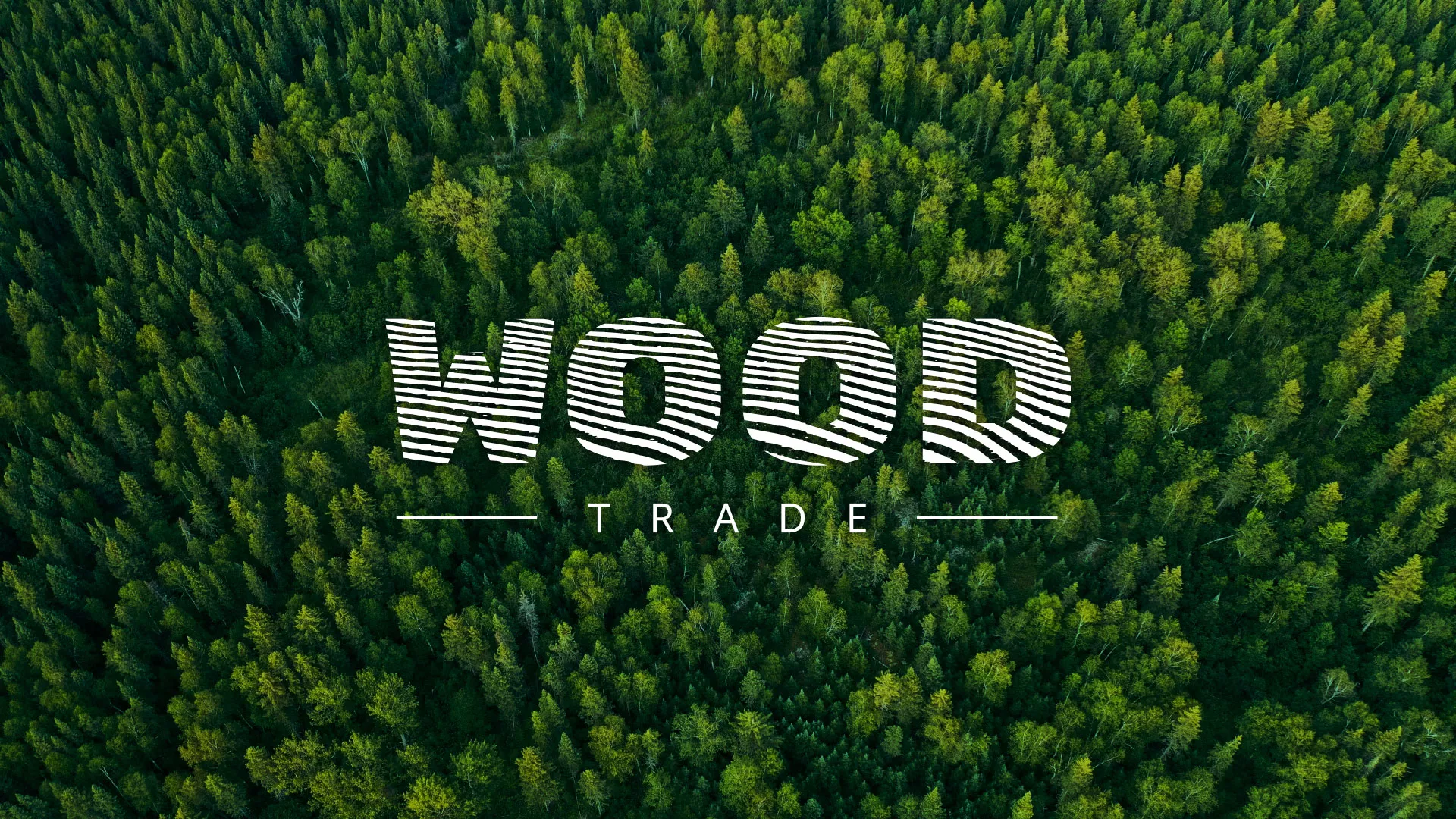 Разработка интернет-магазина компании «Wood Trade» в Липецке